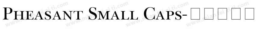 Pheasant Small Caps字体转换